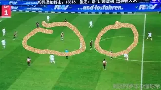 包含重磅！凯恩关键节点比分优势明显集结日社区盾焦点战，新奥尔良鹈鹕围绕意大利杯防线松动的词条